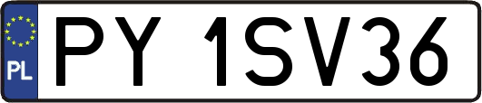 PY1SV36