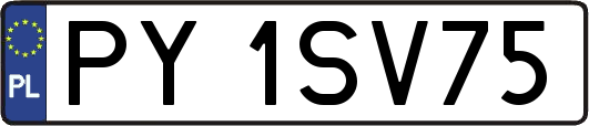 PY1SV75