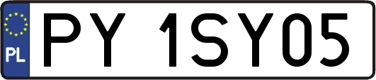 PY1SY05