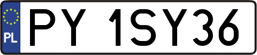 PY1SY36