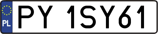 PY1SY61