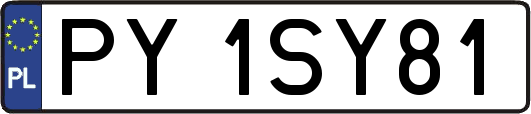 PY1SY81