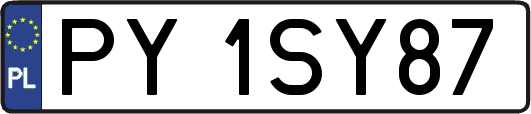 PY1SY87