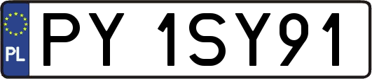 PY1SY91
