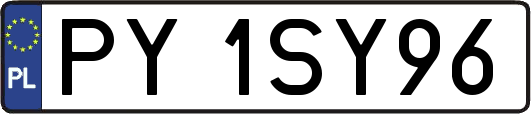 PY1SY96