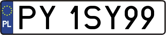 PY1SY99