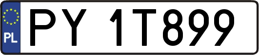 PY1T899