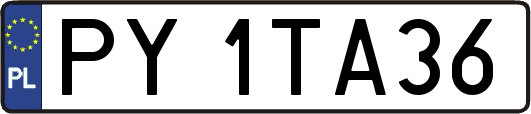 PY1TA36