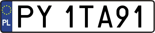 PY1TA91