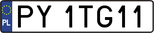 PY1TG11