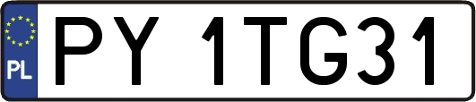 PY1TG31