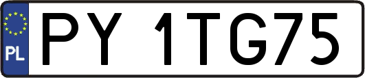 PY1TG75