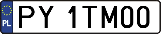 PY1TM00