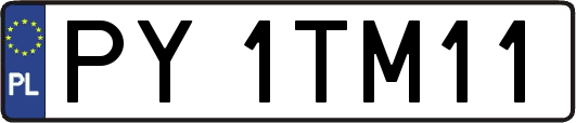 PY1TM11