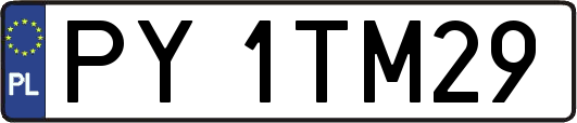 PY1TM29