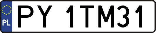 PY1TM31