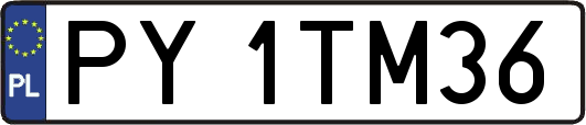 PY1TM36