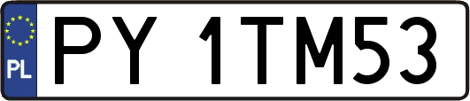 PY1TM53