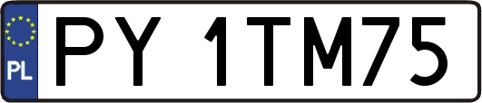 PY1TM75