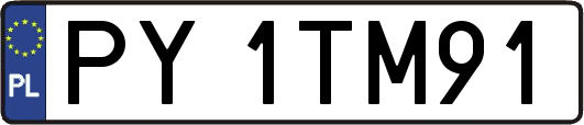 PY1TM91