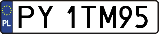PY1TM95