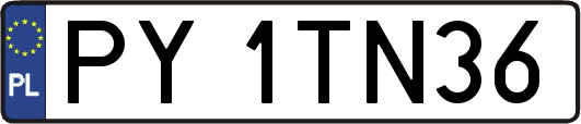 PY1TN36