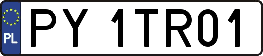 PY1TR01