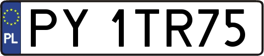 PY1TR75