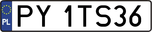 PY1TS36
