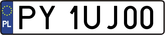 PY1UJ00
