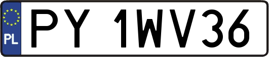 PY1WV36