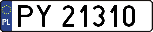 PY21310