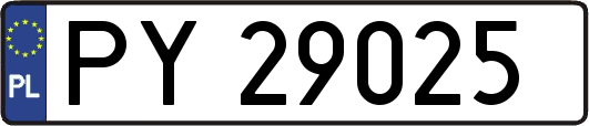 PY29025