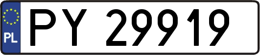 PY29919