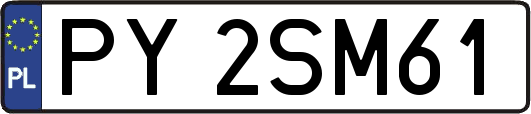 PY2SM61