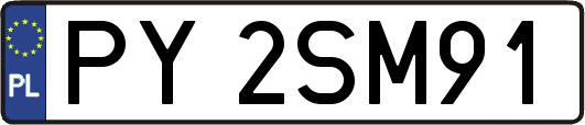 PY2SM91