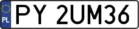 PY2UM36