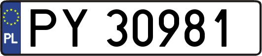 PY30981