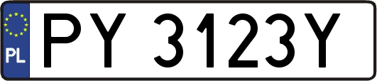 PY3123Y