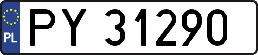 PY31290