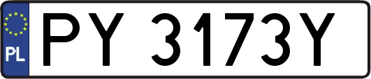 PY3173Y