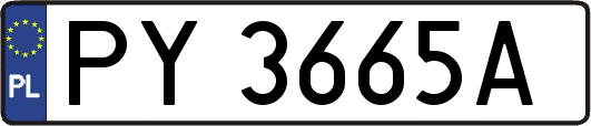 PY3665A
