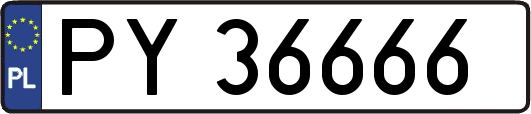 PY36666