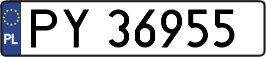 PY36955