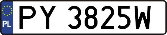 PY3825W