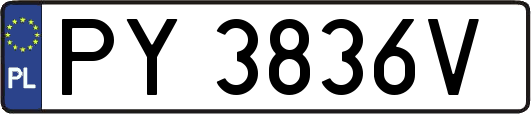 PY3836V