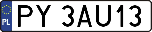 PY3AU13