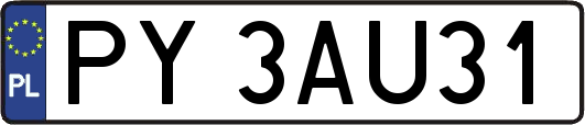 PY3AU31