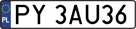 PY3AU36