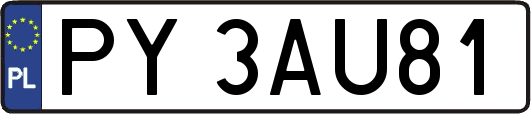 PY3AU81